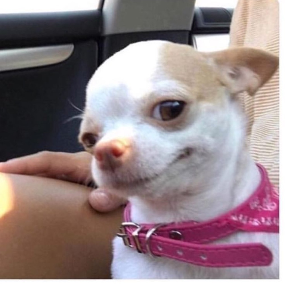 Meet your Posher, Miriam